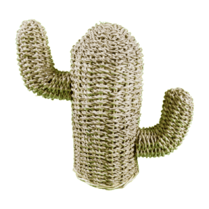C129-1-cactus-cuerda-pequeño