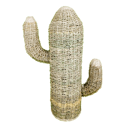 C129-2-cactus-cuerda-grande