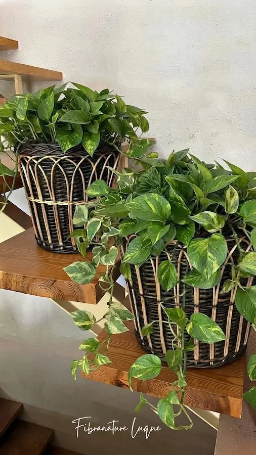 Decoración otoño casa - cestas con enredaderas